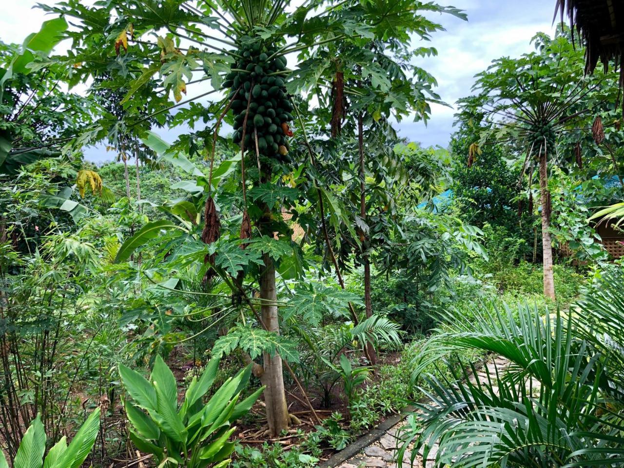 House @Bohol Garden Homes Panglao Zewnętrze zdjęcie